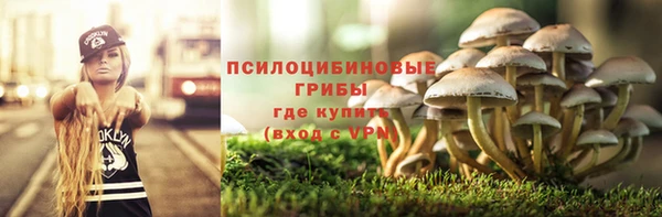 скорость Богданович