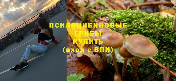 a pvp Богородск
