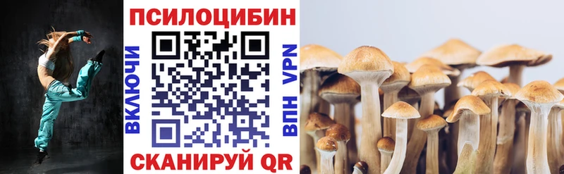 Псилоцибиновые грибы Cubensis  Первомайск 